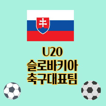 U20슬로바키아축구대표팀