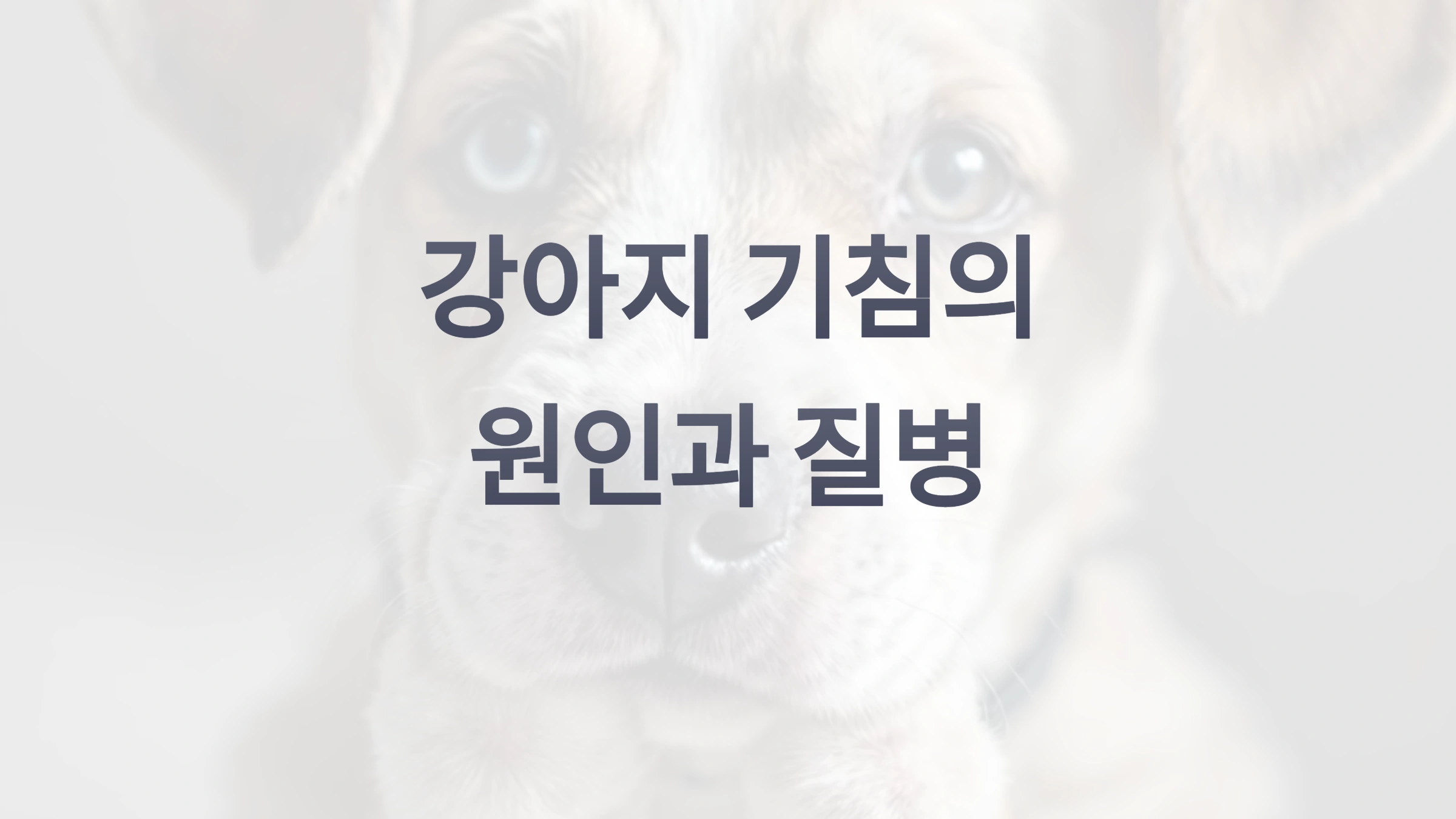 강아지가 기침을 자주 할 때 의심해야 할 질병