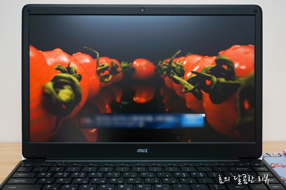 모다담 유튜브 프리미엄 없어도 광고 제거에 22