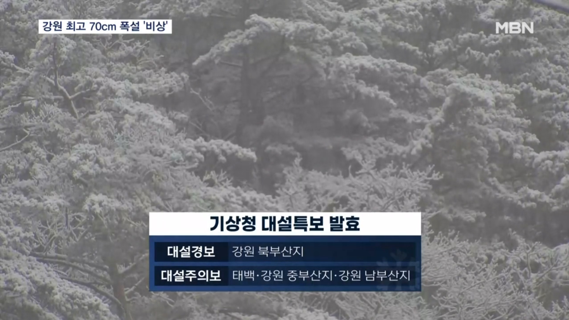  강원 산지 대설특보 (습설 주의)