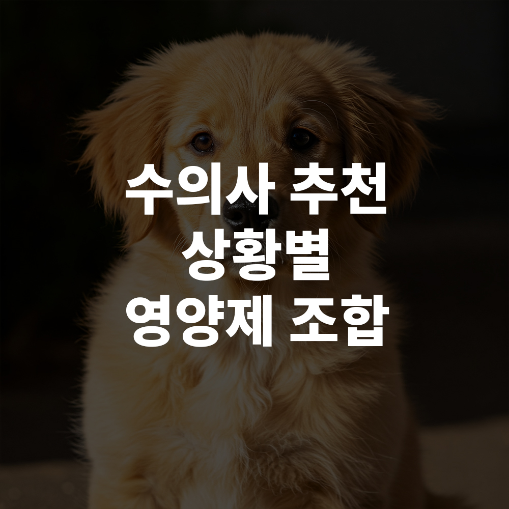 수의사가 추천하는 상황별 강아지 영양제 조합