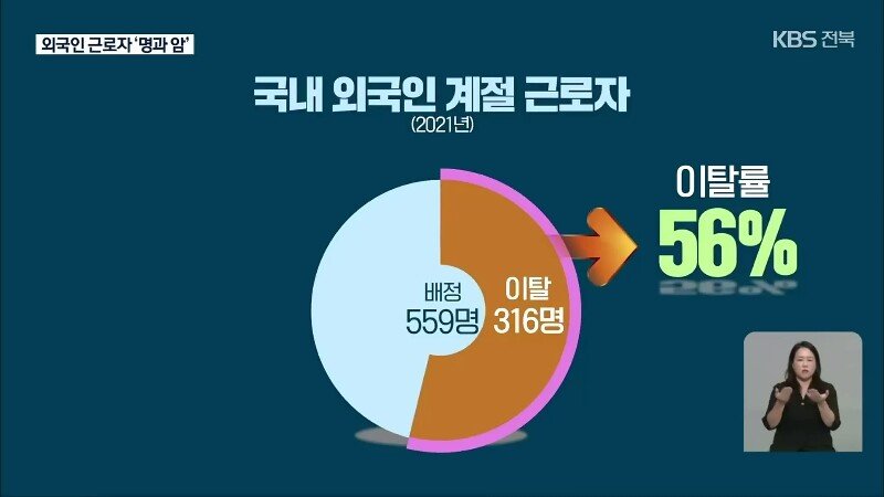  외국인 계절 근로자 무단 이탈