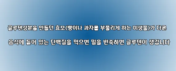  글루텐성분을 만들던 효모(빵이나 과자를 부풀리게 하는 미생물)가 다른 음식에 들어 있는 단백질을 먹으면 밀을 반죽하면 글루텐이 생깁니다