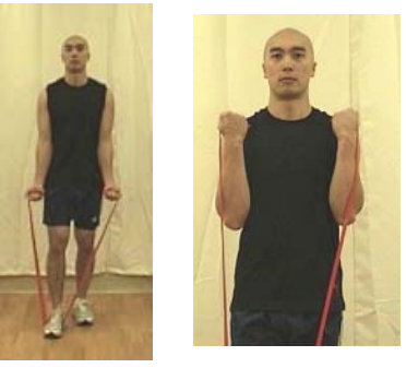 Biceps curl