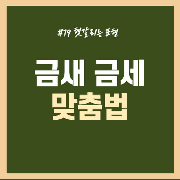 금새-금세-구분하기