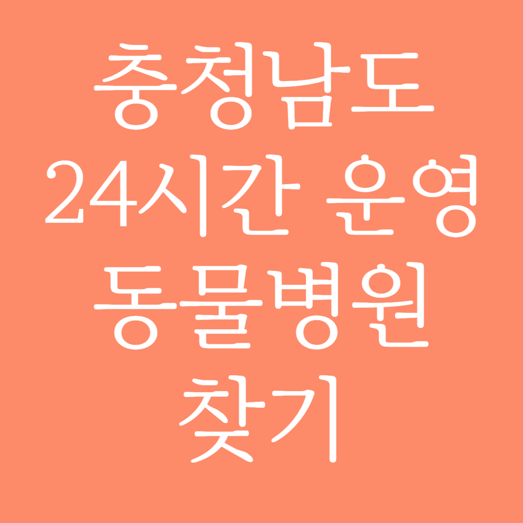 충청남도 24시간 운영 동물병원 찾기