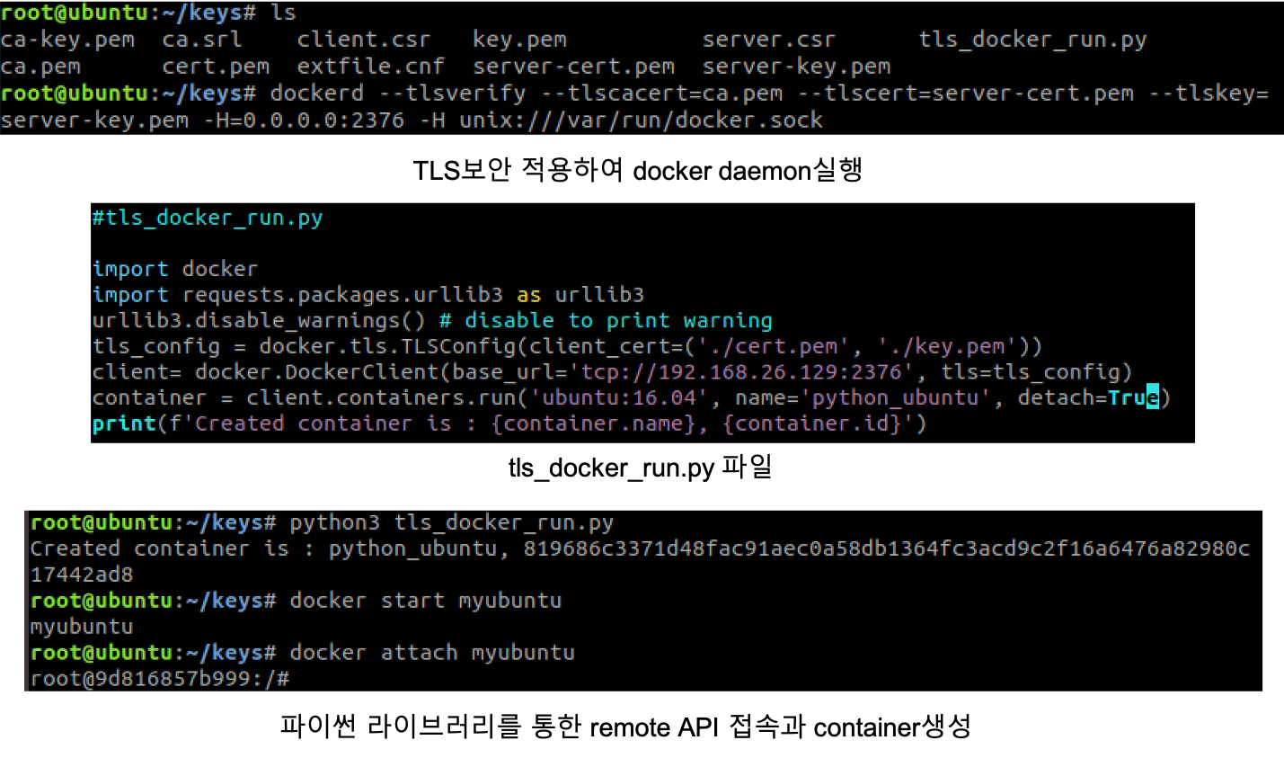 apply tls to docker using python