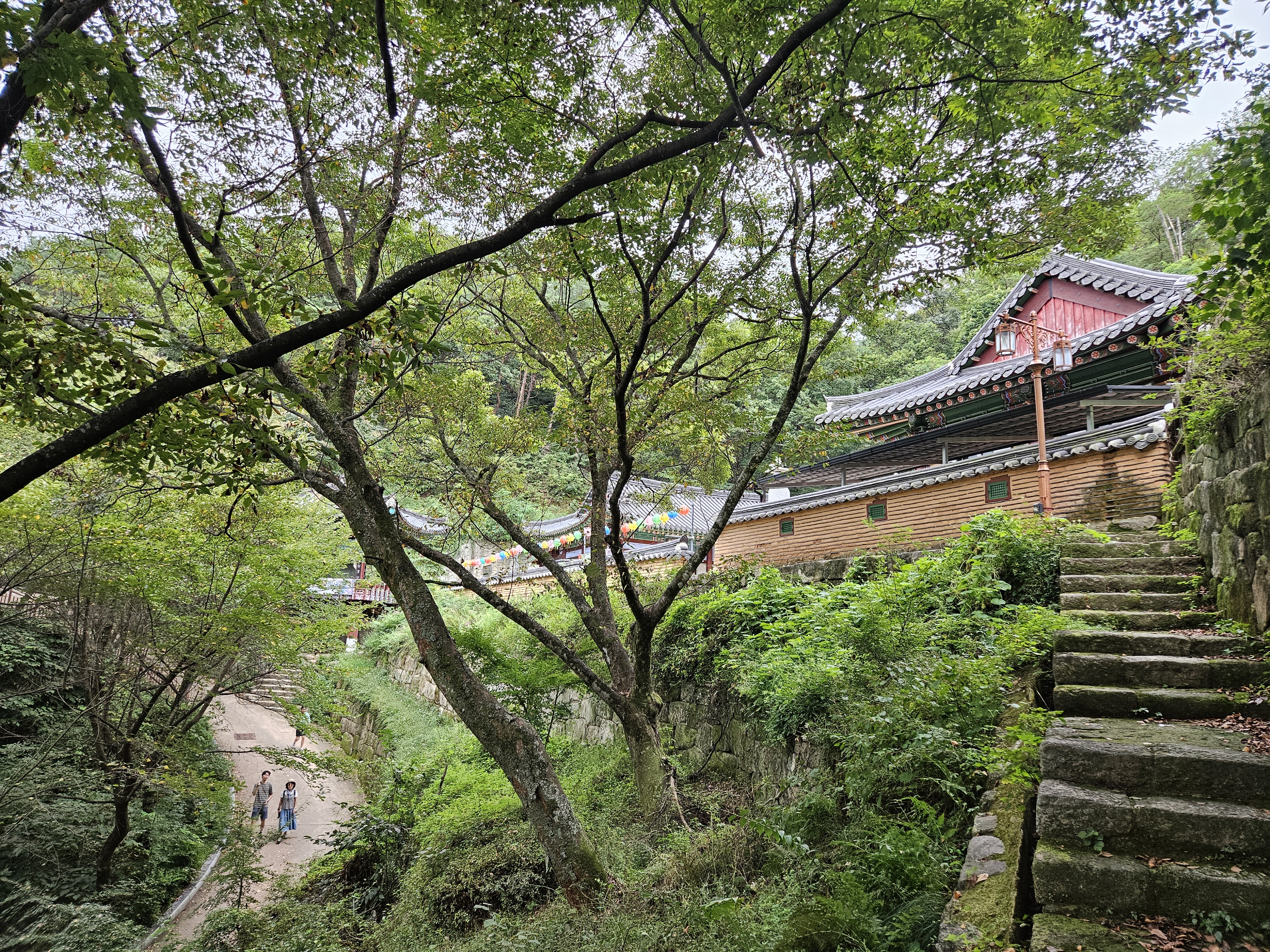 예천 비룡산 장안사와 용왕각 - 일상행복 주식회사 이미지