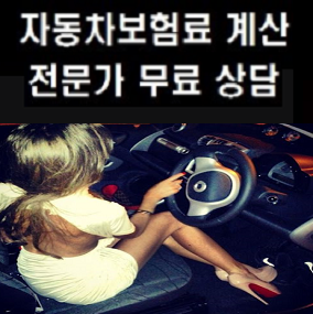  내자동차보험조회 차량보험료조회 자동차보험가입조회 단번에OK