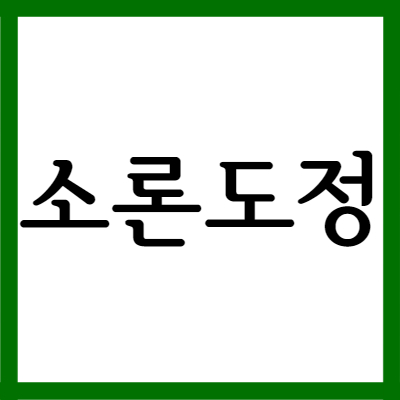  스테로이드 소론도정, 효능과 부작용 자세히 알아보기