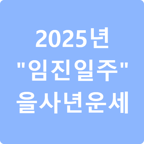 2025년 임진일주 을사년 운세