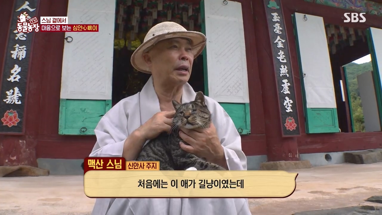 TV 동물농장.E1143.231030p-NEXT.mp4_20231029_161406.930.jpg