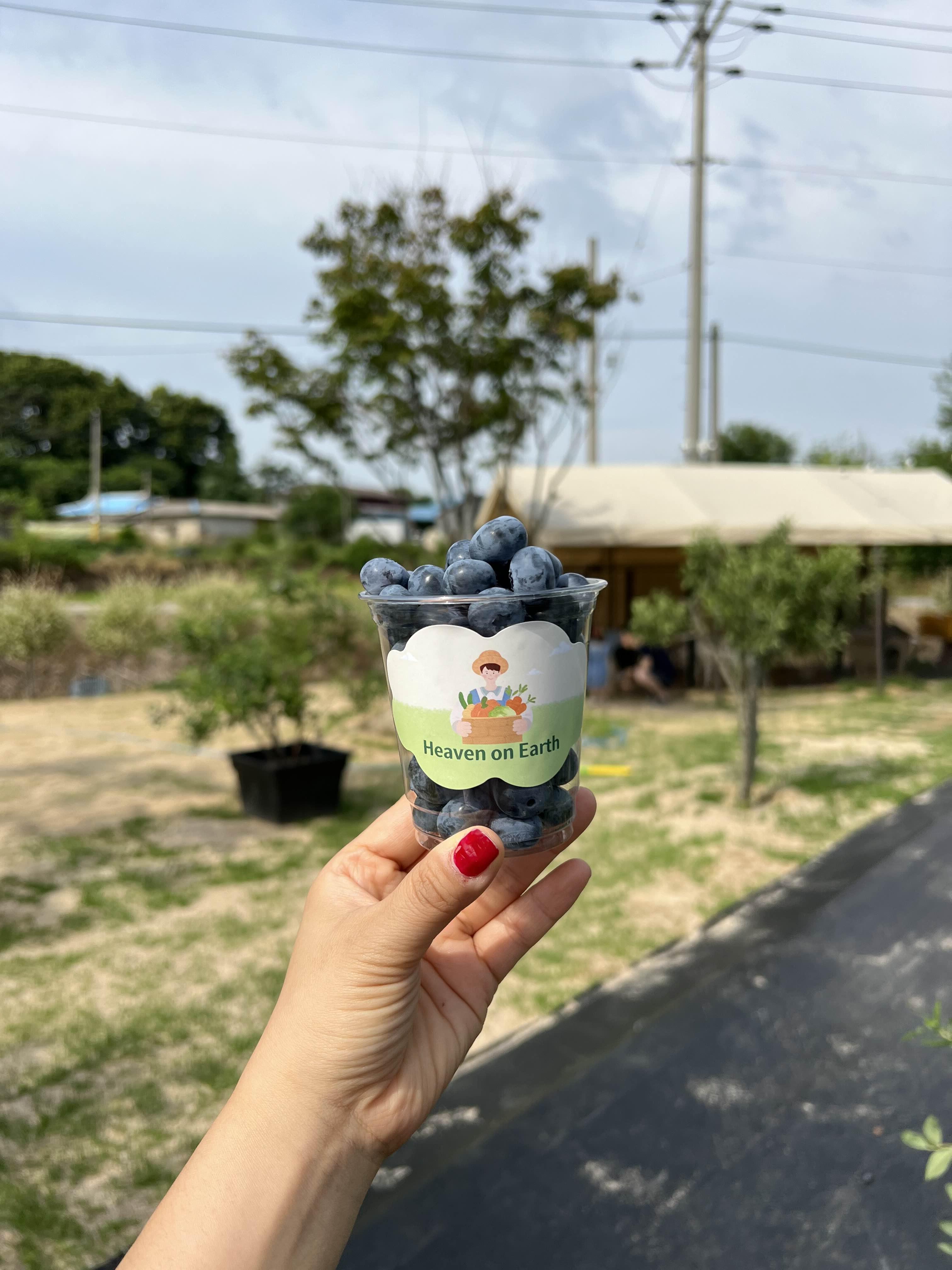 온어스 이미지