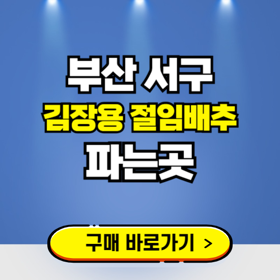 부산 서구 절임배추 사전예약 구입하는곳 ❘ 김장배추 파는곳 가격보기