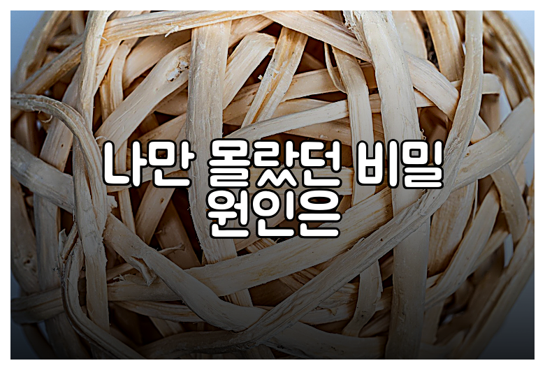 나만 몰랐던 비밀 원인은