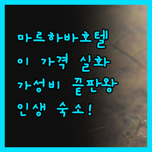 마르하바 비치 호텔, 이 가격 실화?