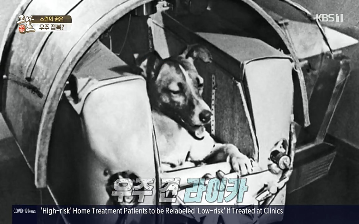 역사저널 그날.E353.220328p-NEXT.mp4_20220606_180127.535.jpg