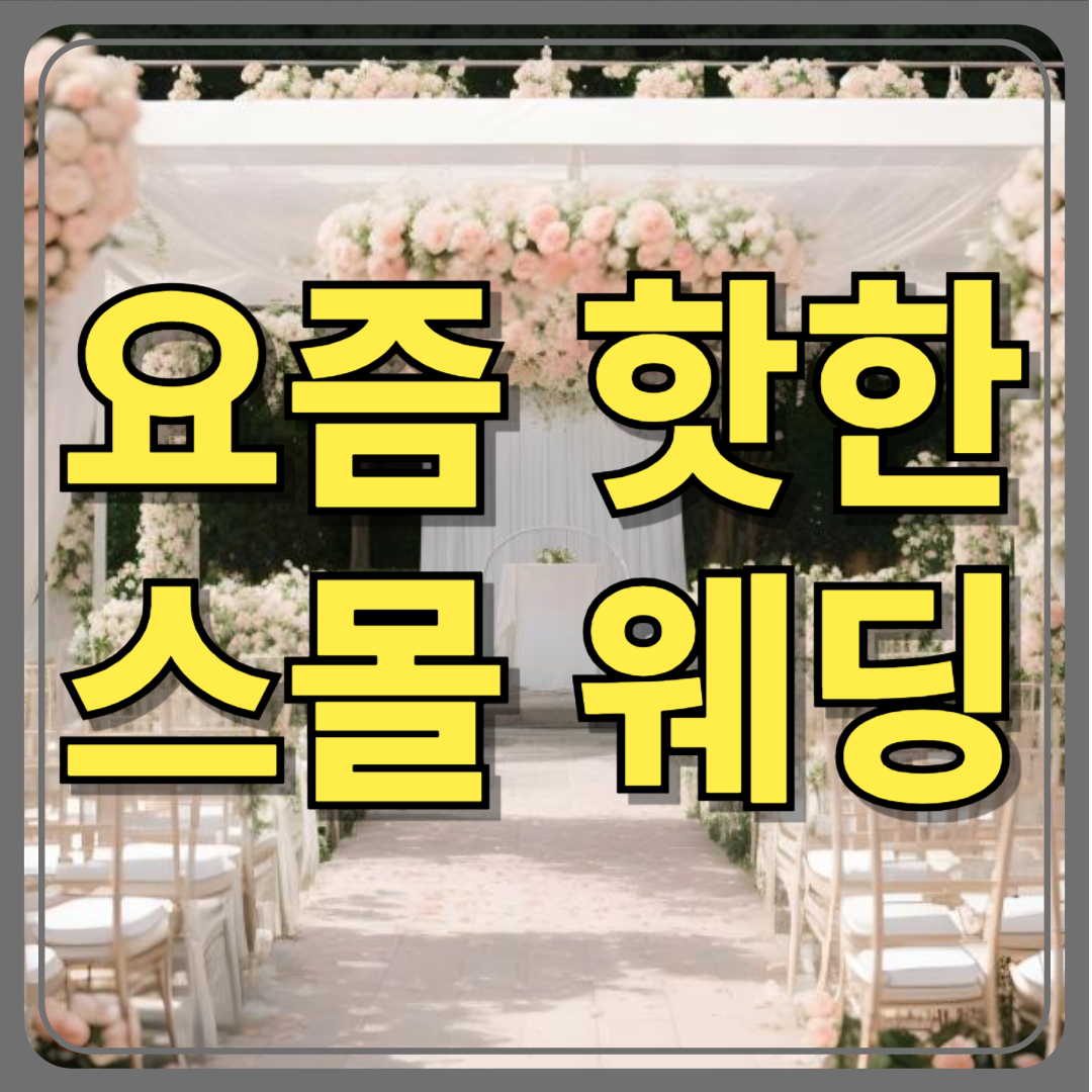 요즘 핫한 스몰 웨딩! 일반 예식장 결혼식과 뭐가 다를까?