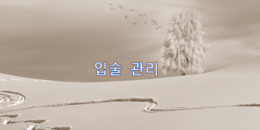  피부 건강 입술 보호