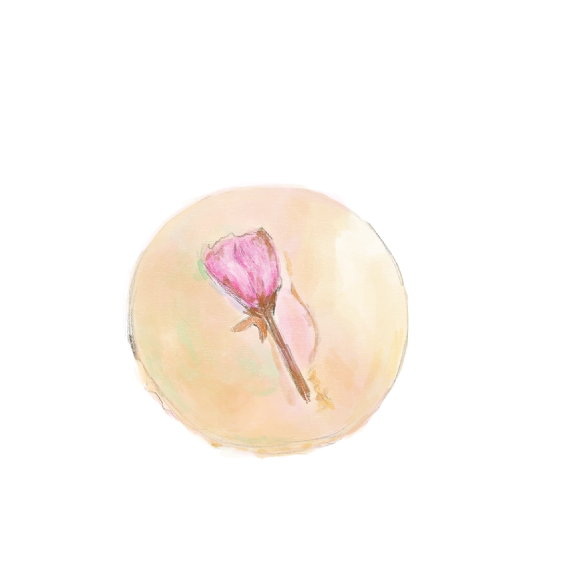  벚꽃 마카롱, 일상 일기