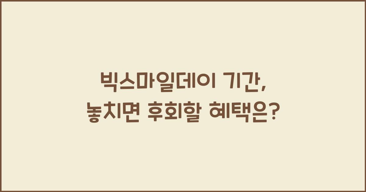 빅스마일데이 기간