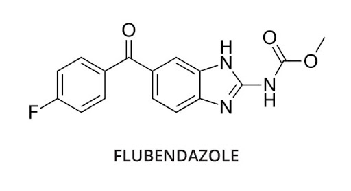 플루벤다졸 효능 효과 기능