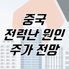 썸네일-이미지