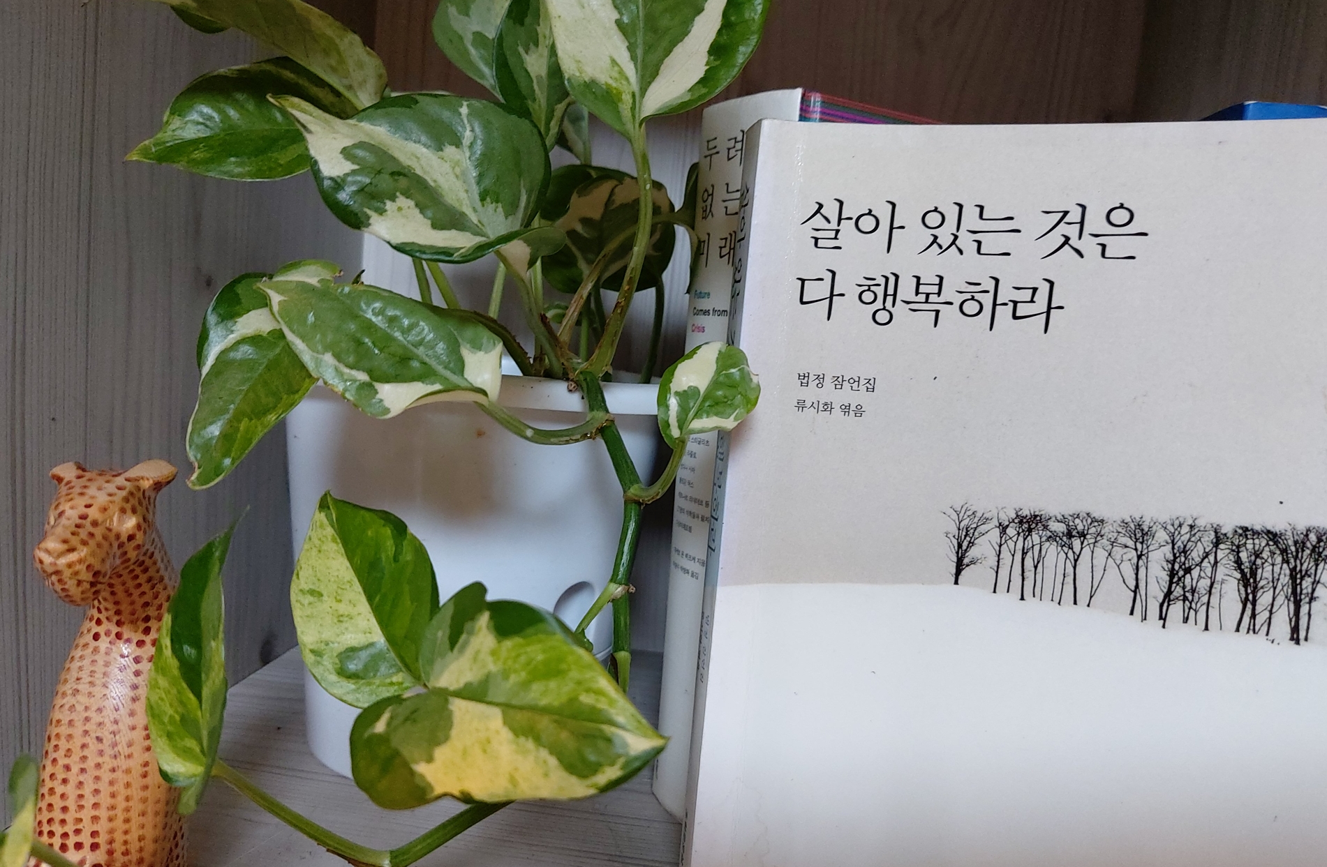  <법정잠언집> 귀 기울여 듣는다는 것 / 살아 있는 것은 다 행복하라