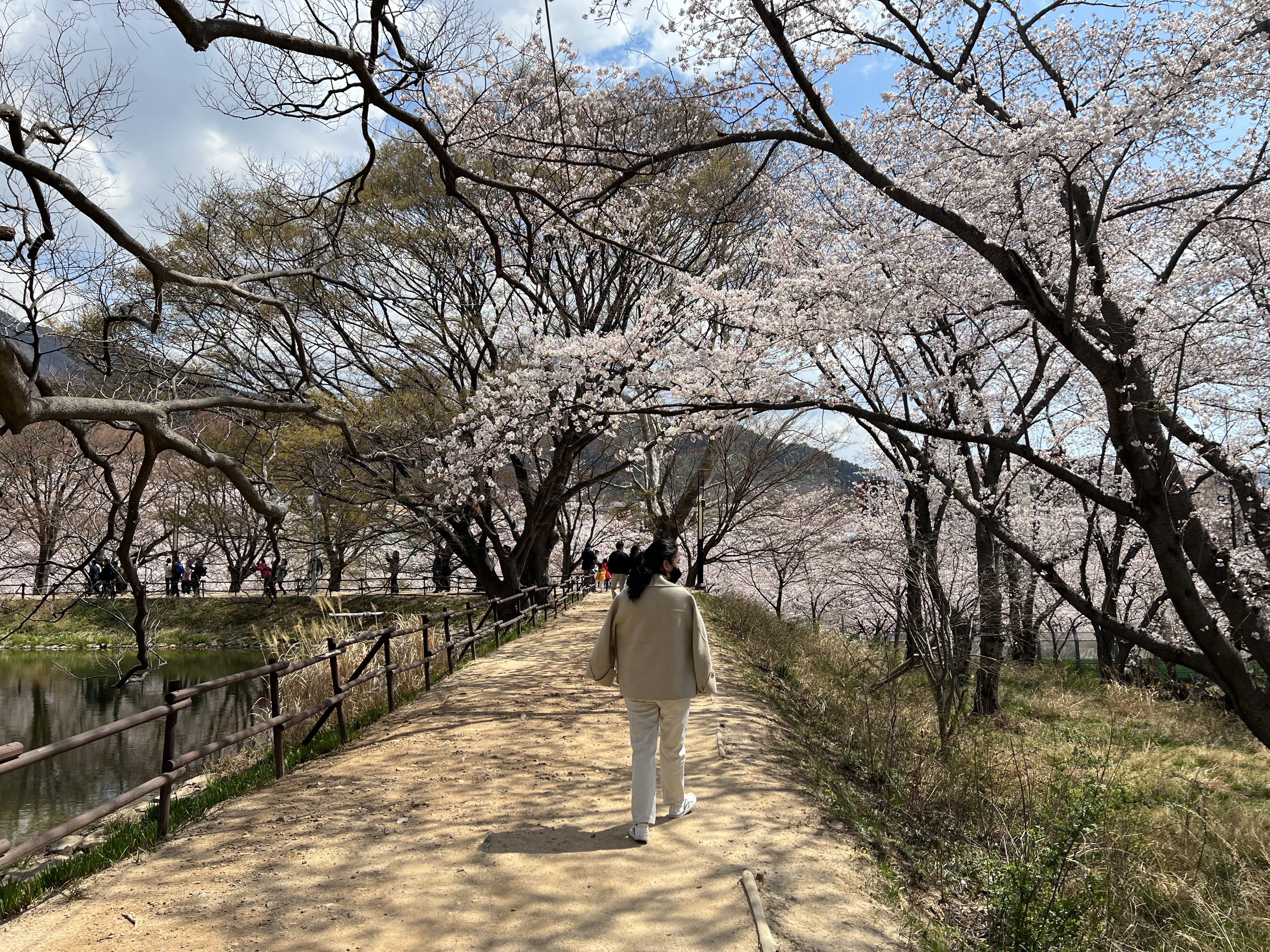저수지관찰길14