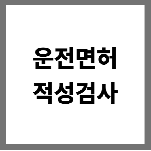  운전면허 적성검사