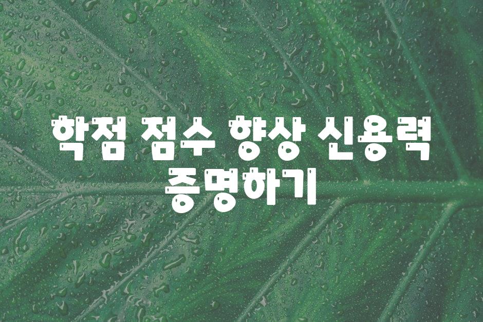 학점 점수 향상 신용력 증명하기