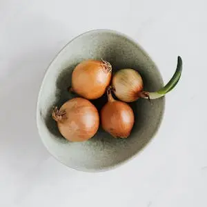 양파-onion