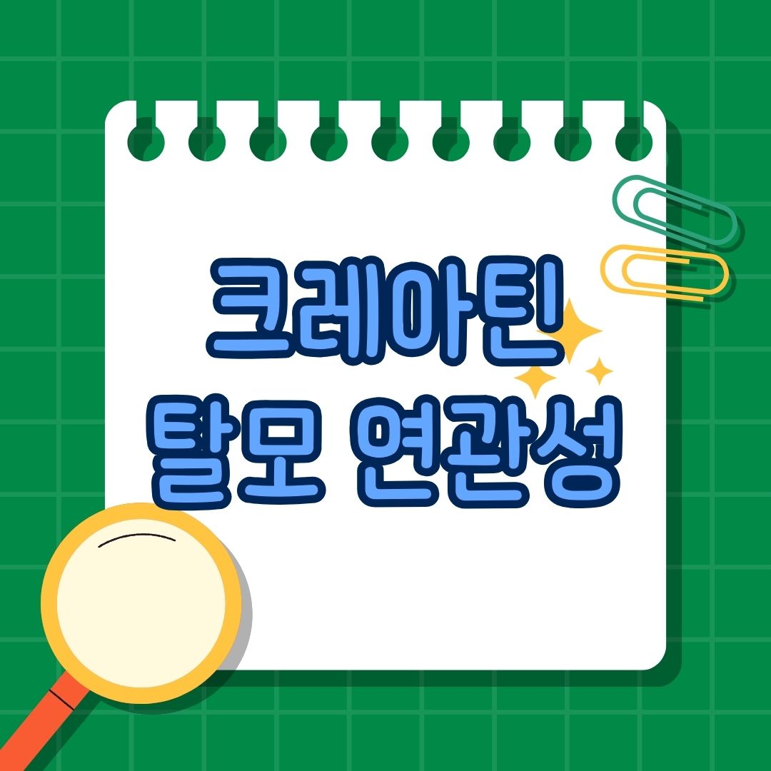 크레아틴(Creatine)이 탈모 원인, 탈모 연관성, 탈모와의 관계, 크레아틴이란, 크레아틴 정의, 크레아틴 역할, 크레아틴 보충제, 크레아틴과 DHT 수치 증가, 크레아틴이 탈모를 유발하는가, 크레아틴 섭취가 걱정된다면