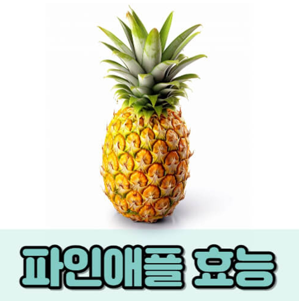 파인애플 효능
