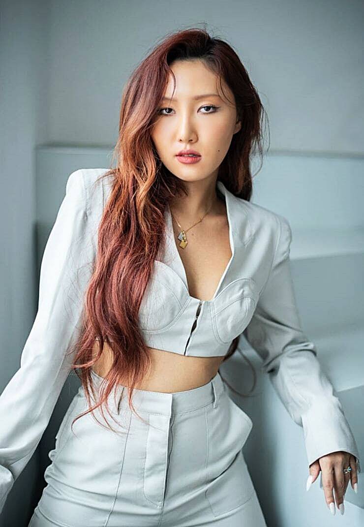 가수-화사