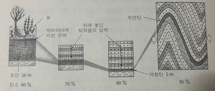 석탄이-만들어지는-과정