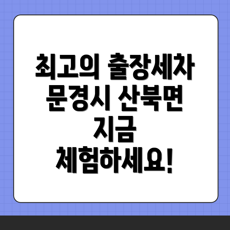 출장세차