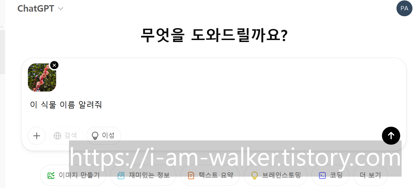 ChatGPT로 식물이름 찾기