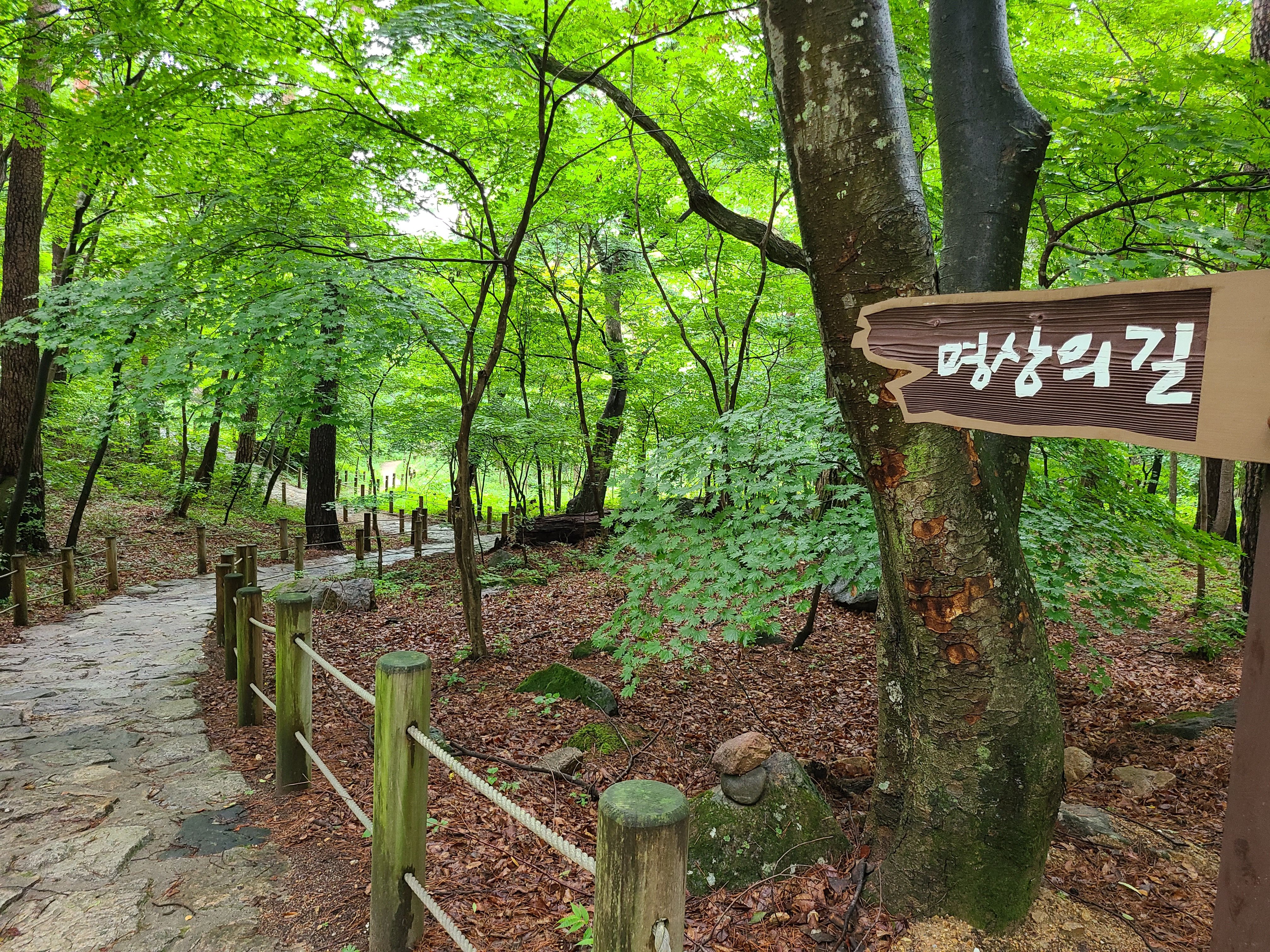 불영사 명상의 길