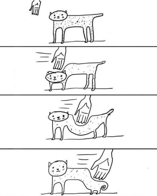  고양이의 역사