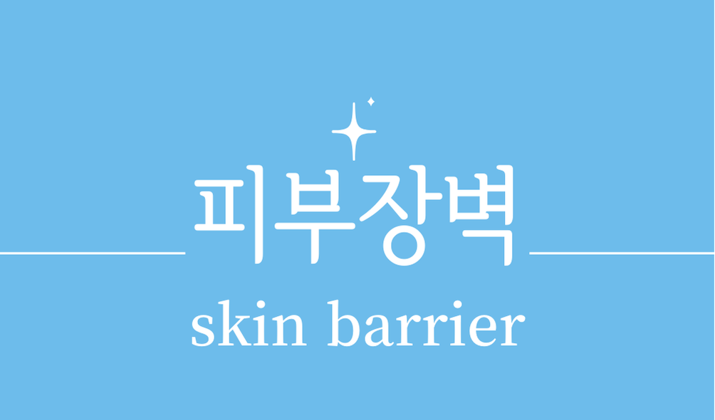 '피부장벽(skin barrier)'