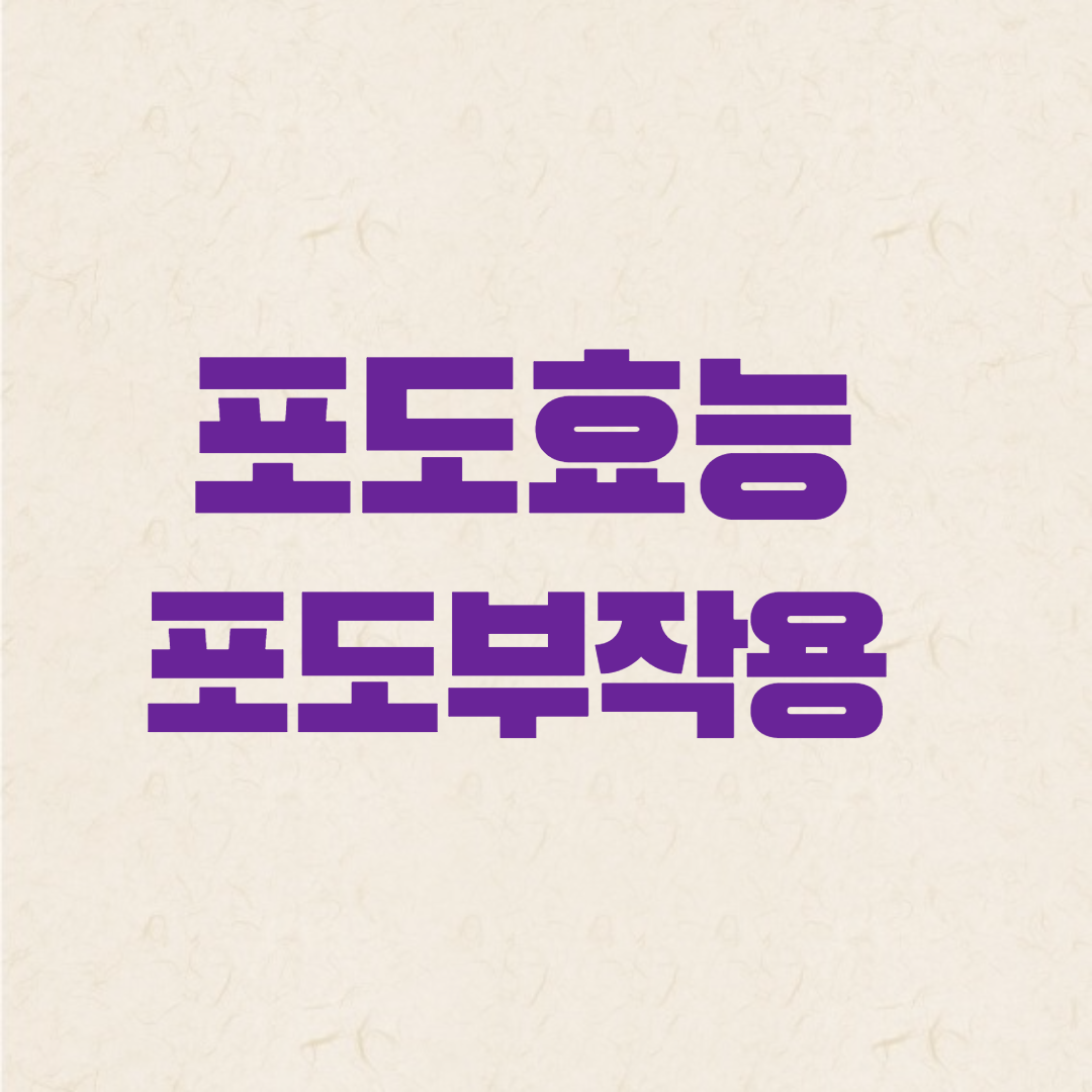  포도 효능 포도 부작용 포도 보관법