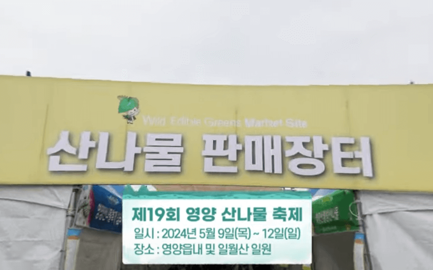 영양 산나물축제날짜 가수 주차 2024