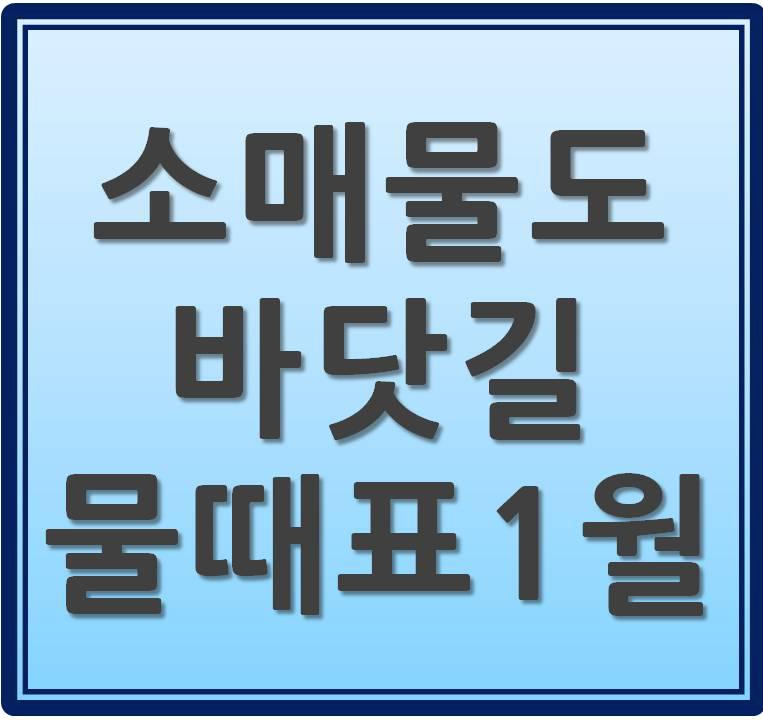  2021년 1월 소매물도 (바다갈라짐) 물때표