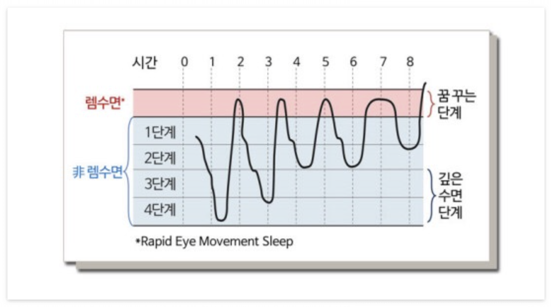 꿈을 많이 꾸는 이유, 렘수면 알아보기