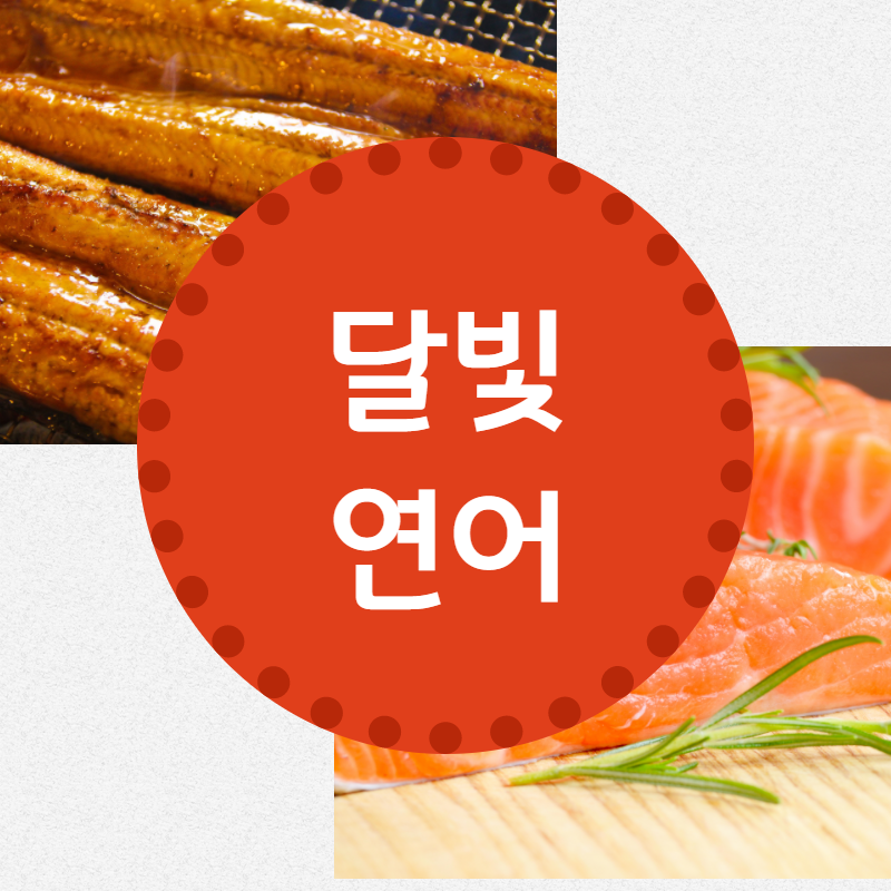 생생정보 정성으로 직접 만드는 식당 장어구이&연어 회