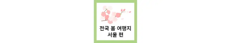  전국 봄 벚꽃 여행지 추천 TOP4 서울편(feat.벚꽃축제)