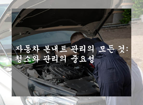  자동차 본내트 관리의 모든 것: 청소와 관리의 중요성