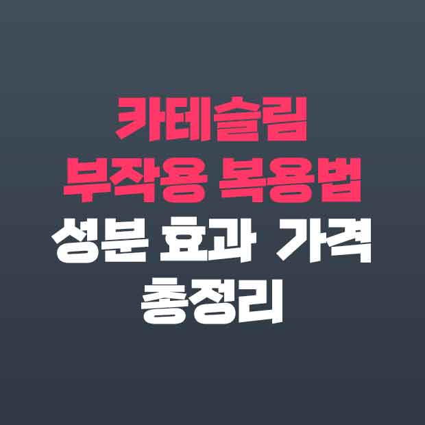  카테슬림 부작용 가격 효과 성분 복용법 총정리