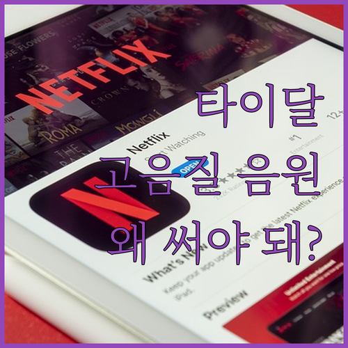 고음질 음원 스트리밍 타이달(TIDA